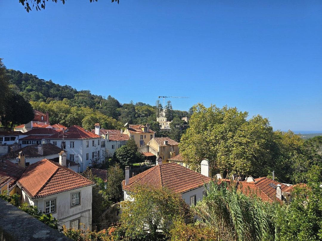 Sintra Local Market-辛特拉必去景点