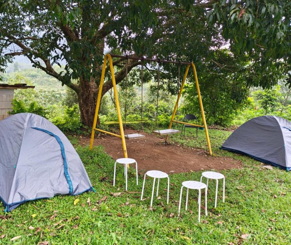 Pinewood Tents