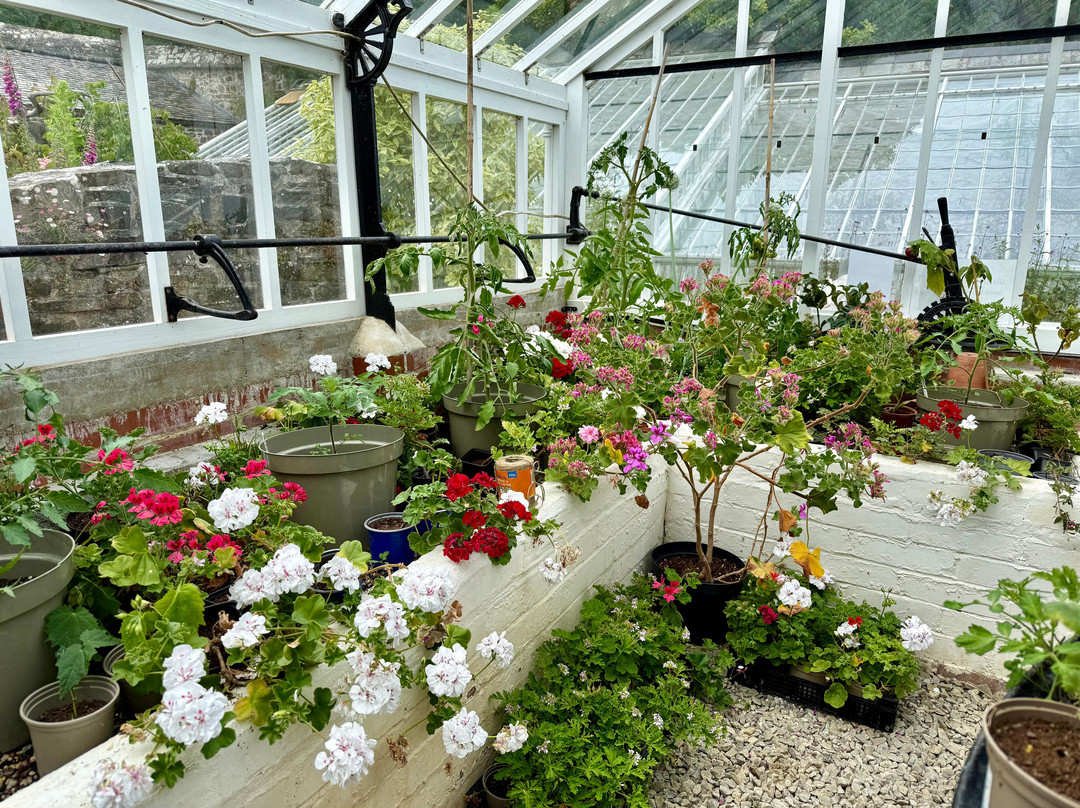 Clovelly Court Gardens-Clovelly必去景点