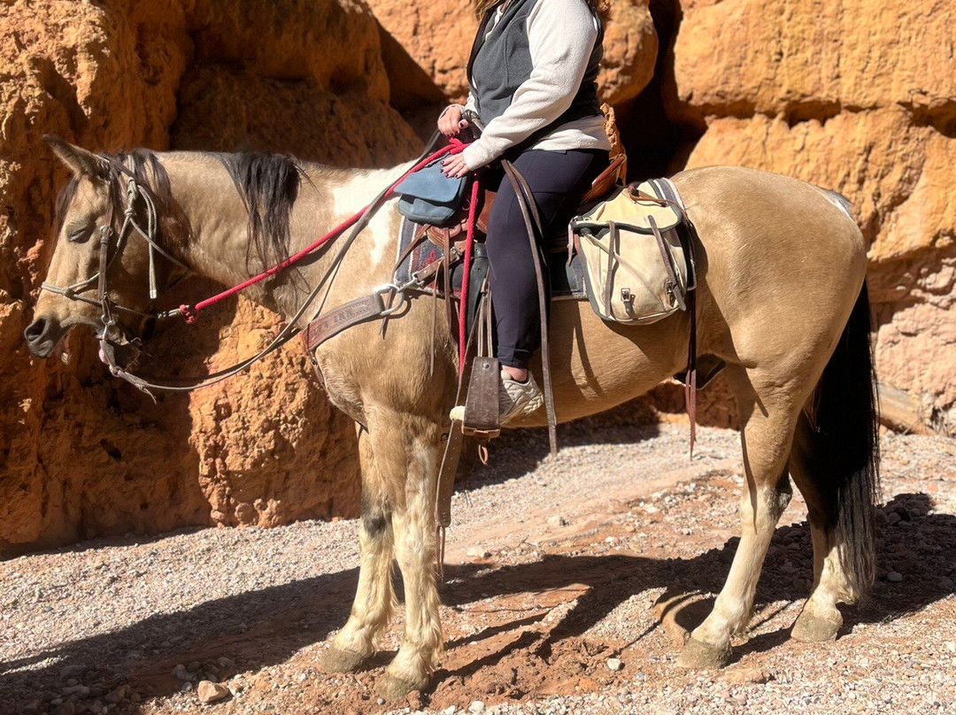 Ruby'grand Adventure Vacation-布莱斯峡谷城必去景点