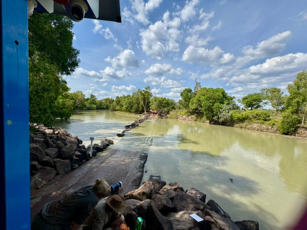 Cahills Crossing-卡卡杜国家公园必去景点