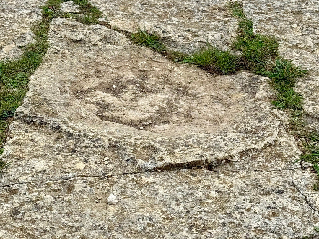 Keates Quarry Dinosaur Footprints-Langton Matravers必去景点