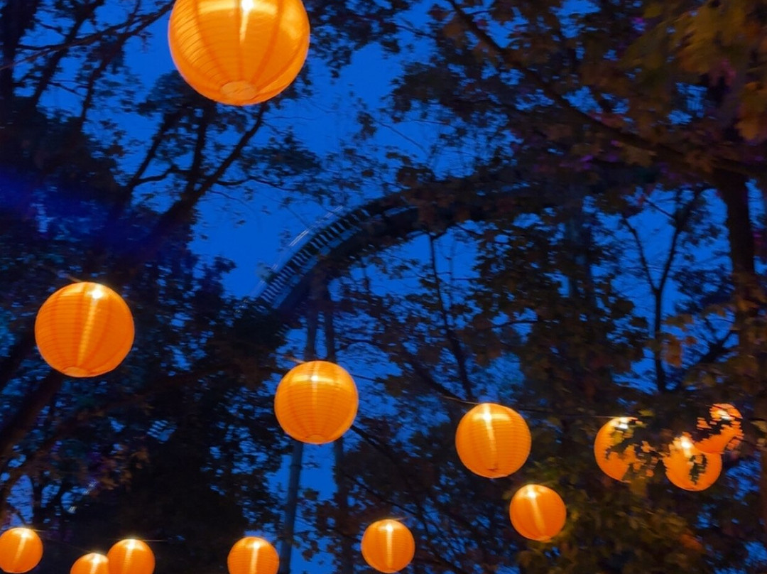 海特公园-索尔陶必去景点