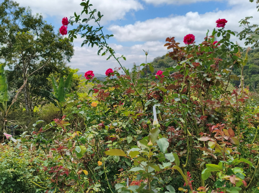 Gravatá Offroad-格拉瓦塔必去景点