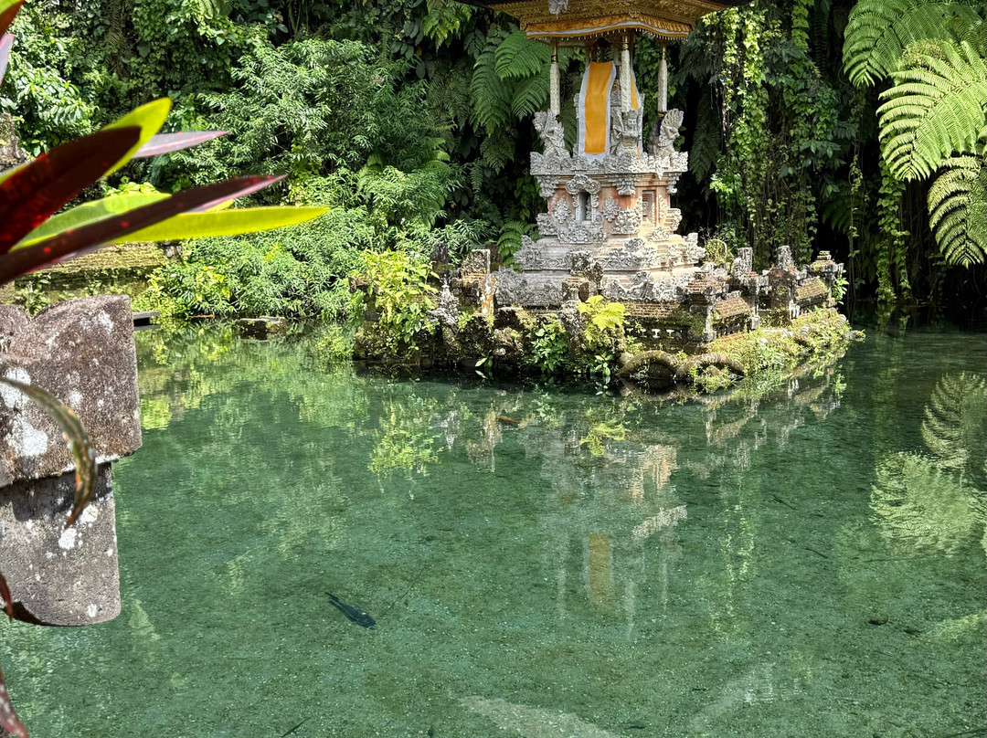 Bali Sun Tours-乌布必去景点