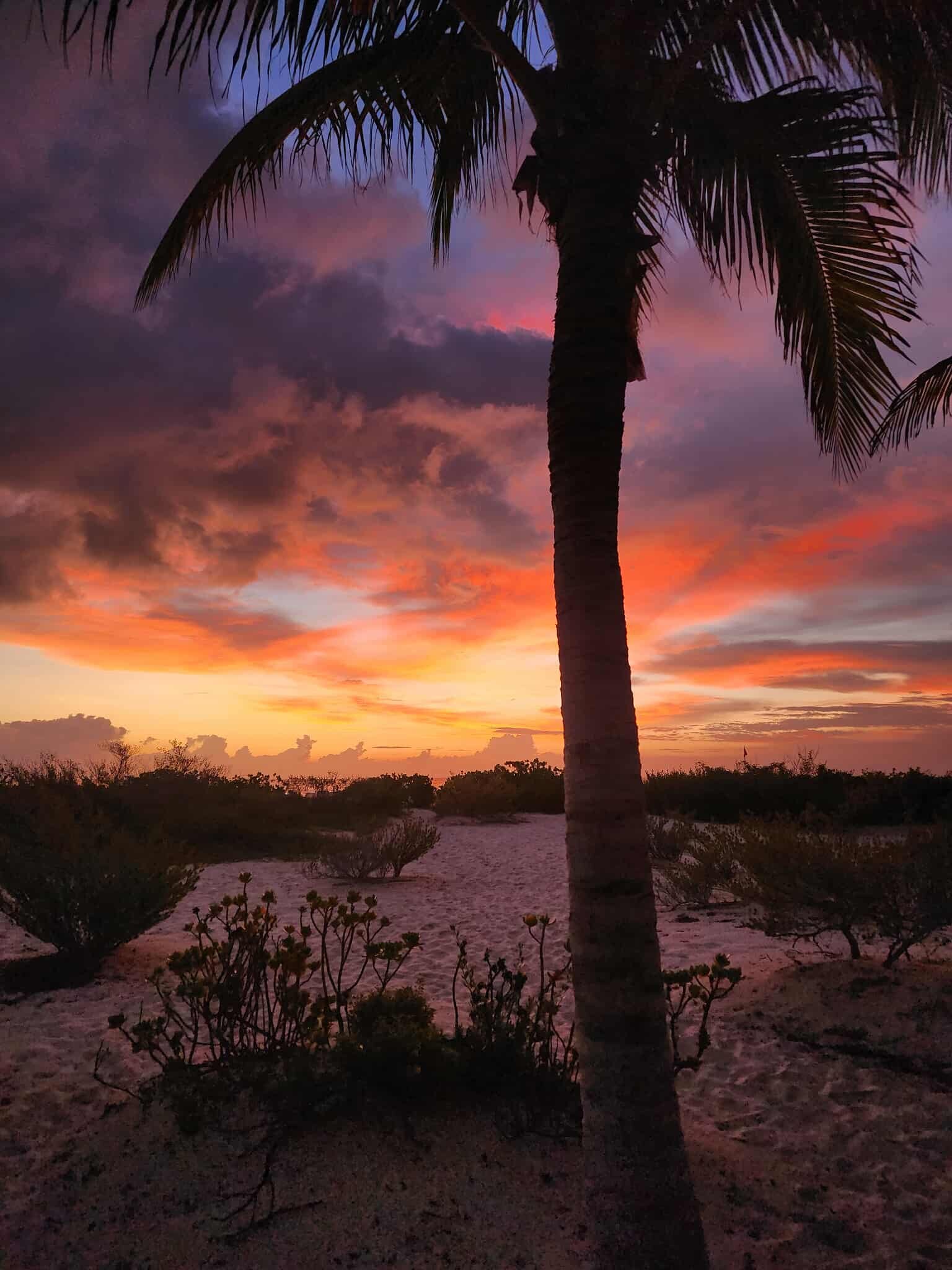 Hotel Riu Latino-泳池