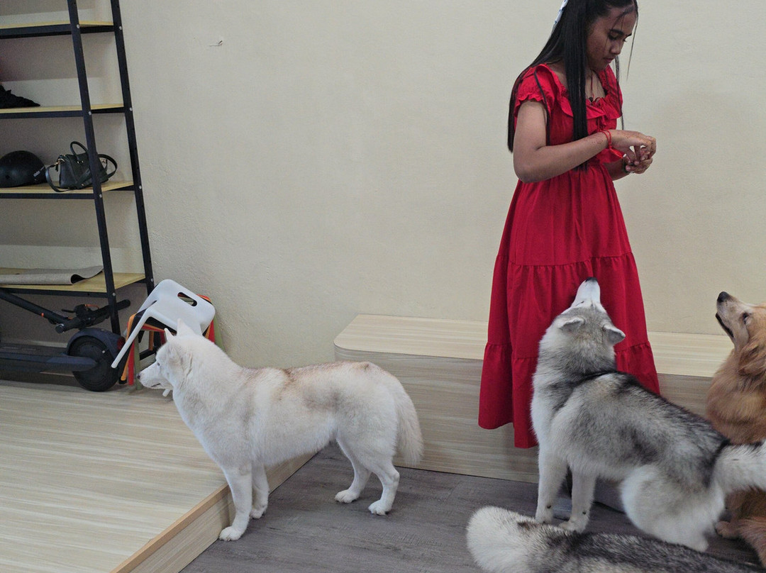 Hahahusky-马六甲必去景点