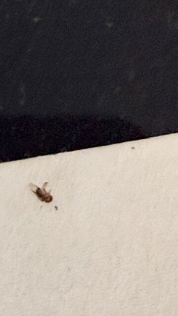 喜来登酒店华盛顿北酒店主图