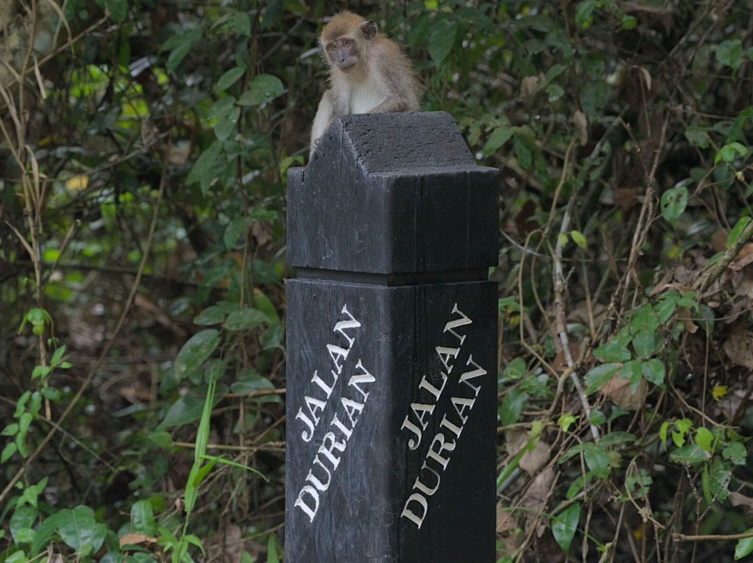 Pulau Ubin Nature and Kampong Walk-乌敏岛必去景点