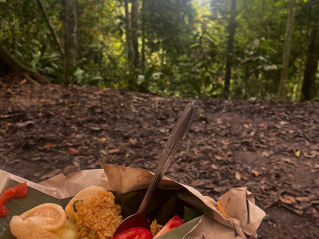 Bukit Lawang Trekking-武吉拉旺必去景点