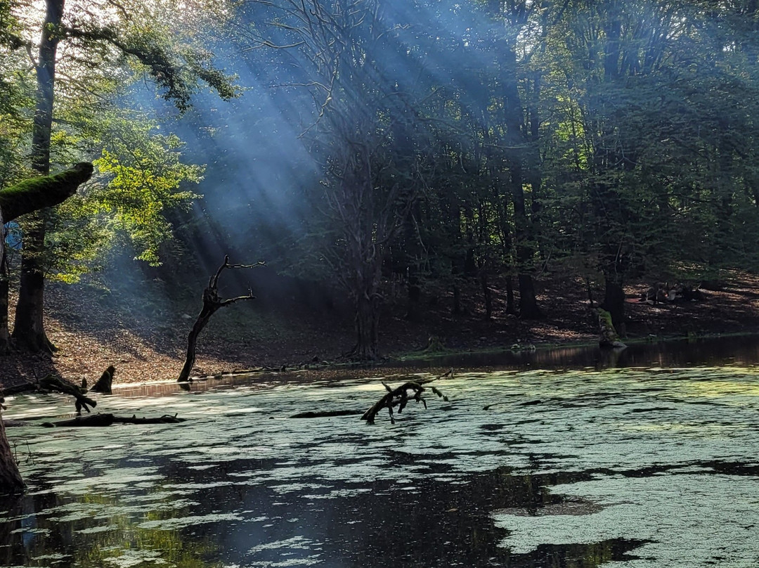Dalahoo Tour & Travel-德黑兰必去景点