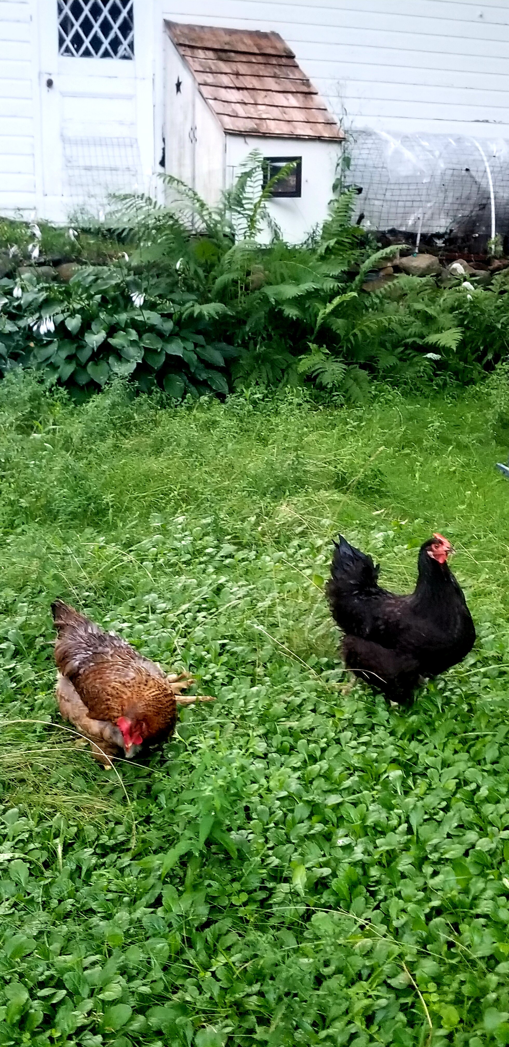 Timbercliffe Cottage Inn-浴室