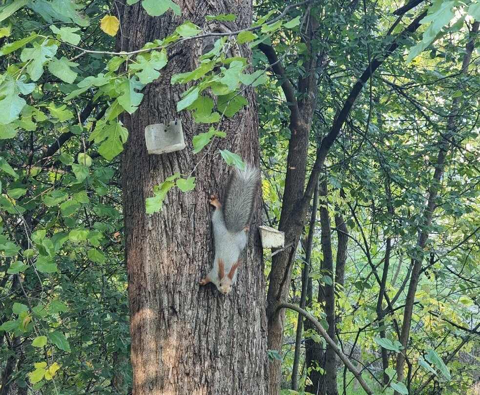Park of the 30th anniversary of the Victory-克拉斯诺达尔必去景点
