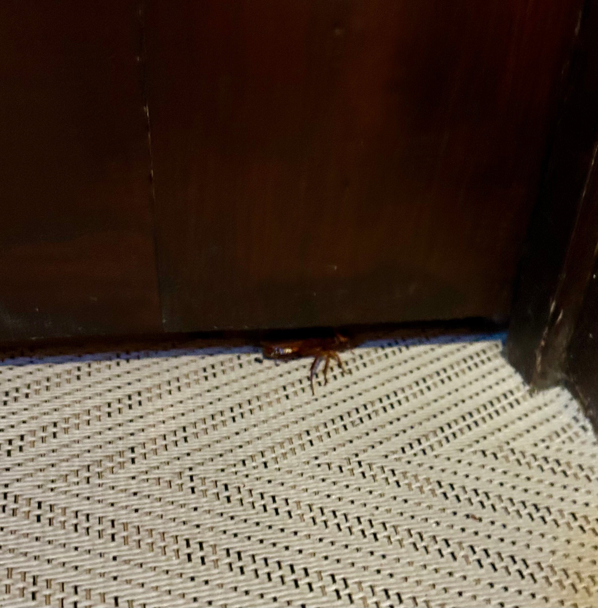 Hotel Inglaterra - Estoril-官方