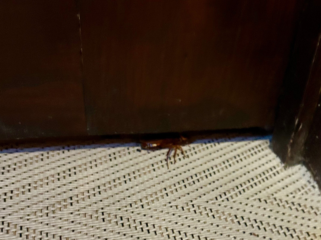 Hotel Inglaterra - Estoril主图