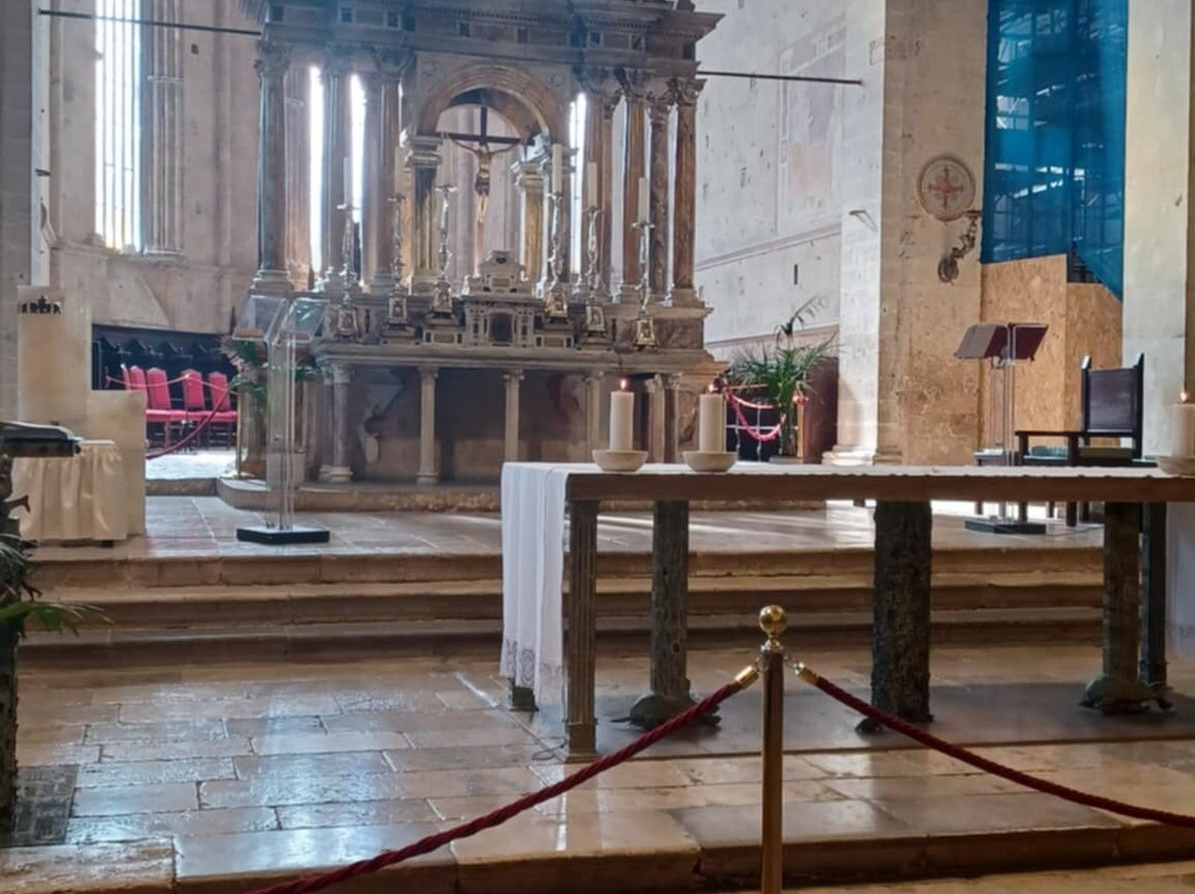 Cattedrale di San Cerbone-马萨马里蒂马必去景点