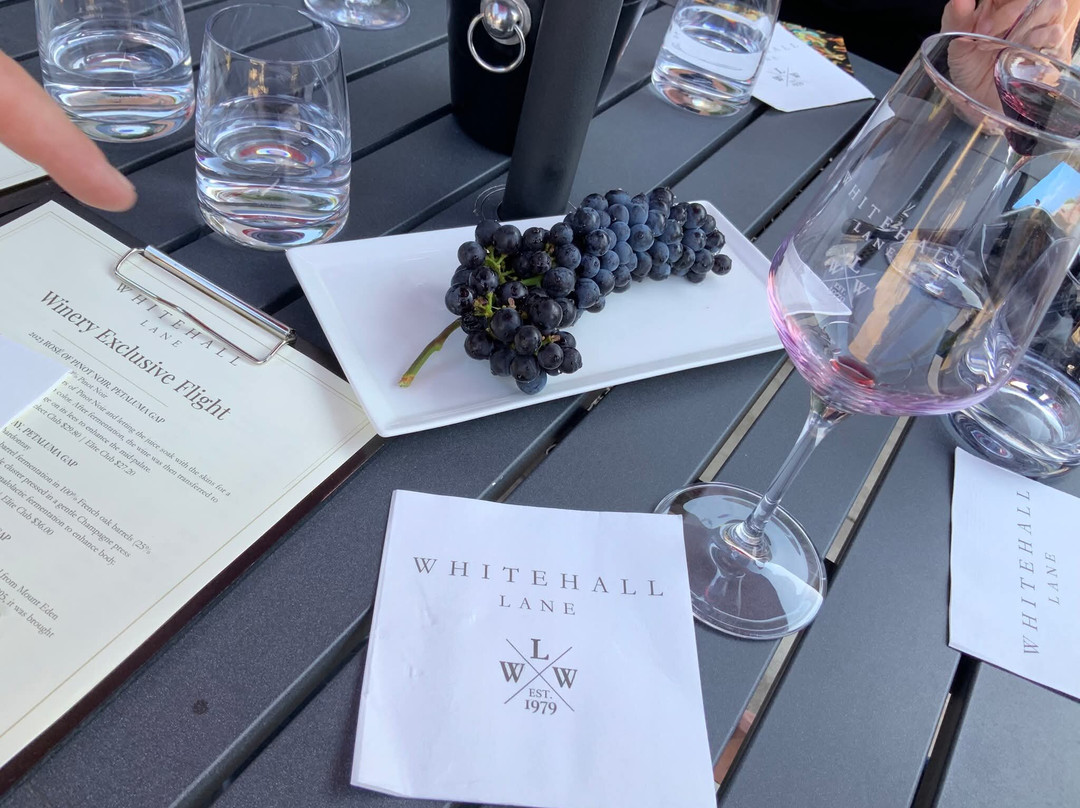 Whitehall Lane Winery-圣海伦娜必去景点