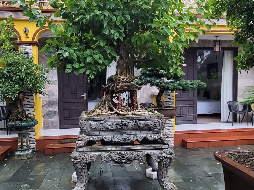Bonsai Villa Hoi An主图