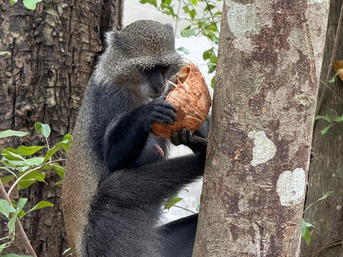 ZANZIWORLD TOURS-桑给巴尔岛必去景点