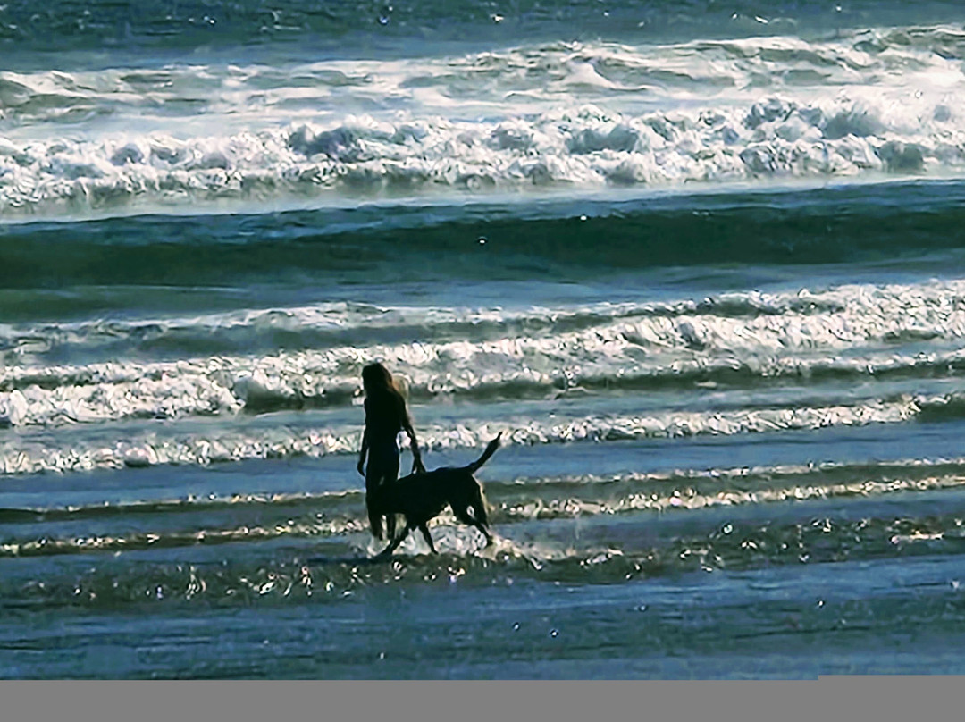 Olas del Desierto Lodge