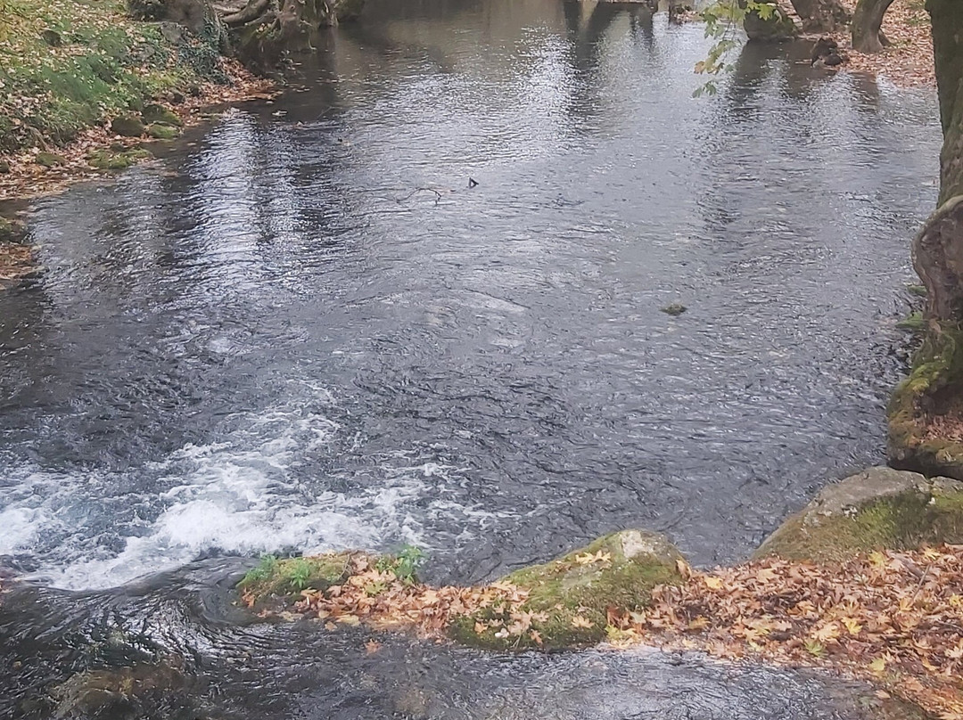 Agios Nikolaos Park-Naousa必去景点