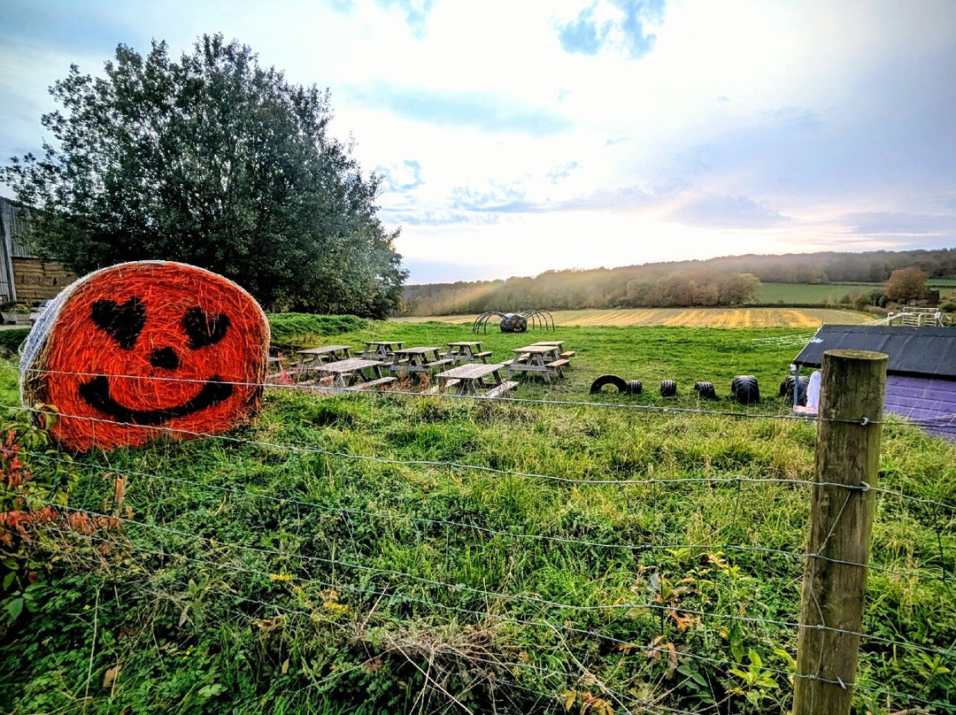 Buckmoorend Farm Shop-艾尔斯伯里必去景点