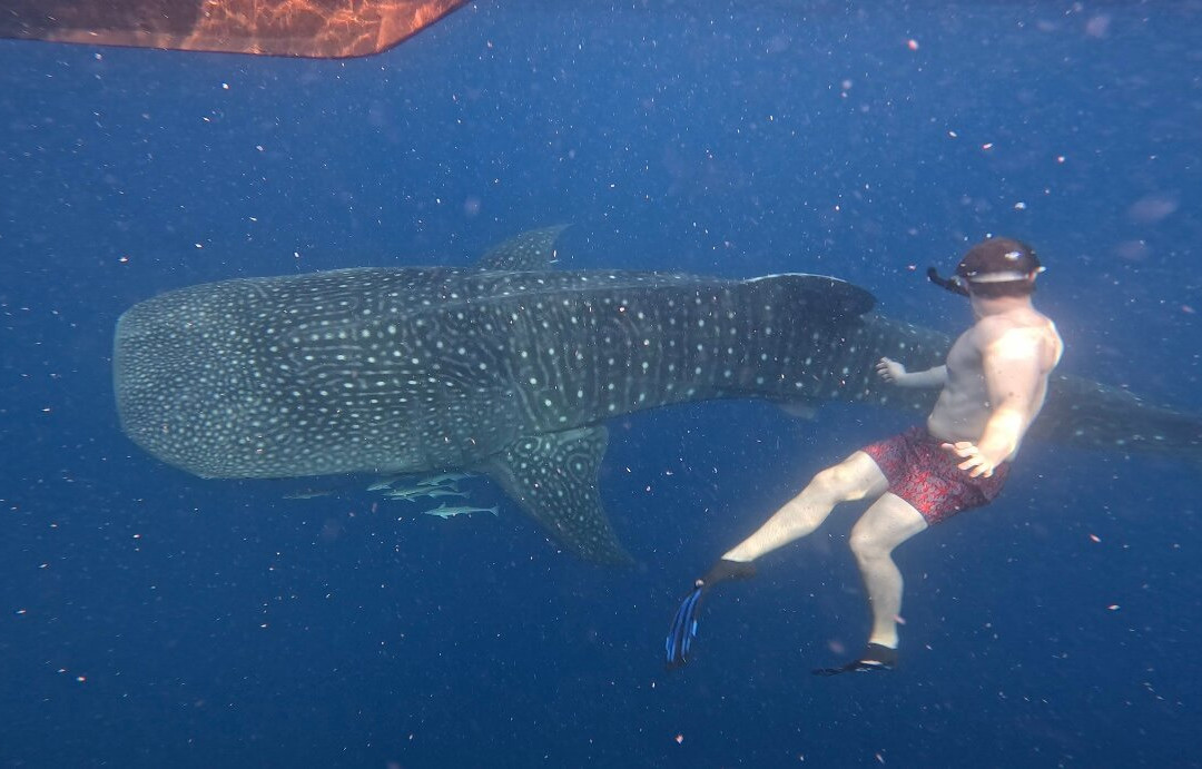 Sumbawa Holiday Tour-Sumbawa Besar必去景点