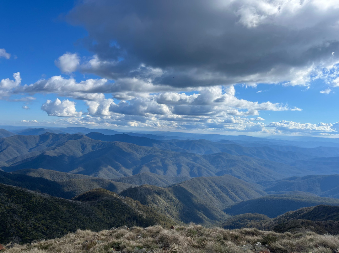 Rockwire Via Ferrata Mt Buller