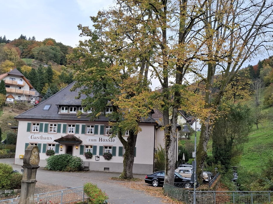 Gasthaus zum Rössle Hotel主图