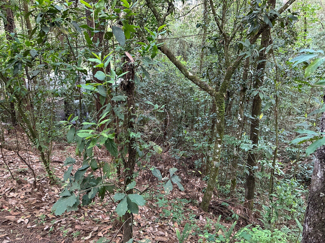 Hotel Rodavento主图