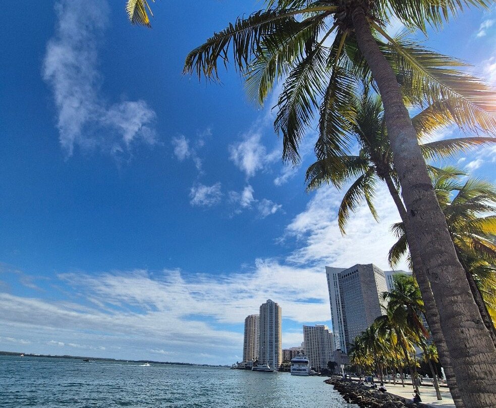 海湾公园-迈阿密必去景点
