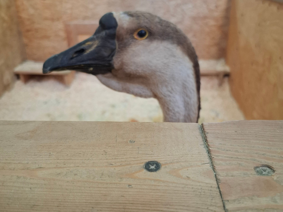 Strana Enotiya-克拉斯诺亚尔斯克必去景点