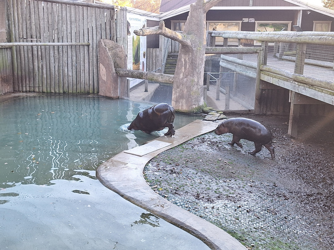 Metro Richmond Zoo-Moseley必去景点