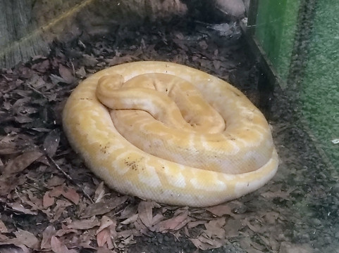 Natura Eco Park Costa Rica-福德圣卡洛斯必去景点