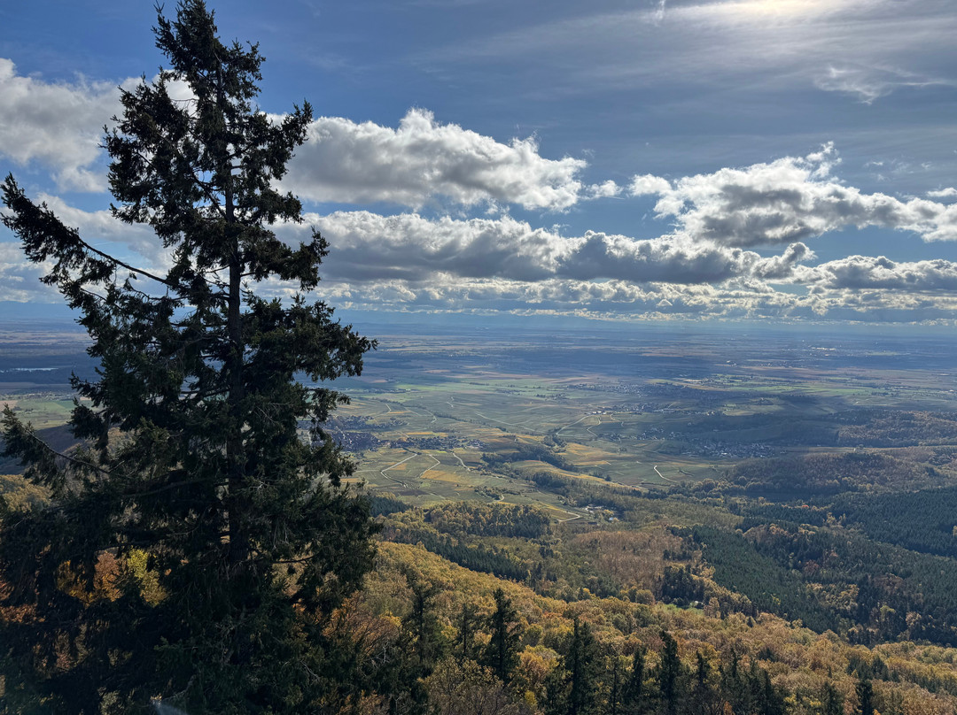 3 Borders Cie-佛莱堡必去景点