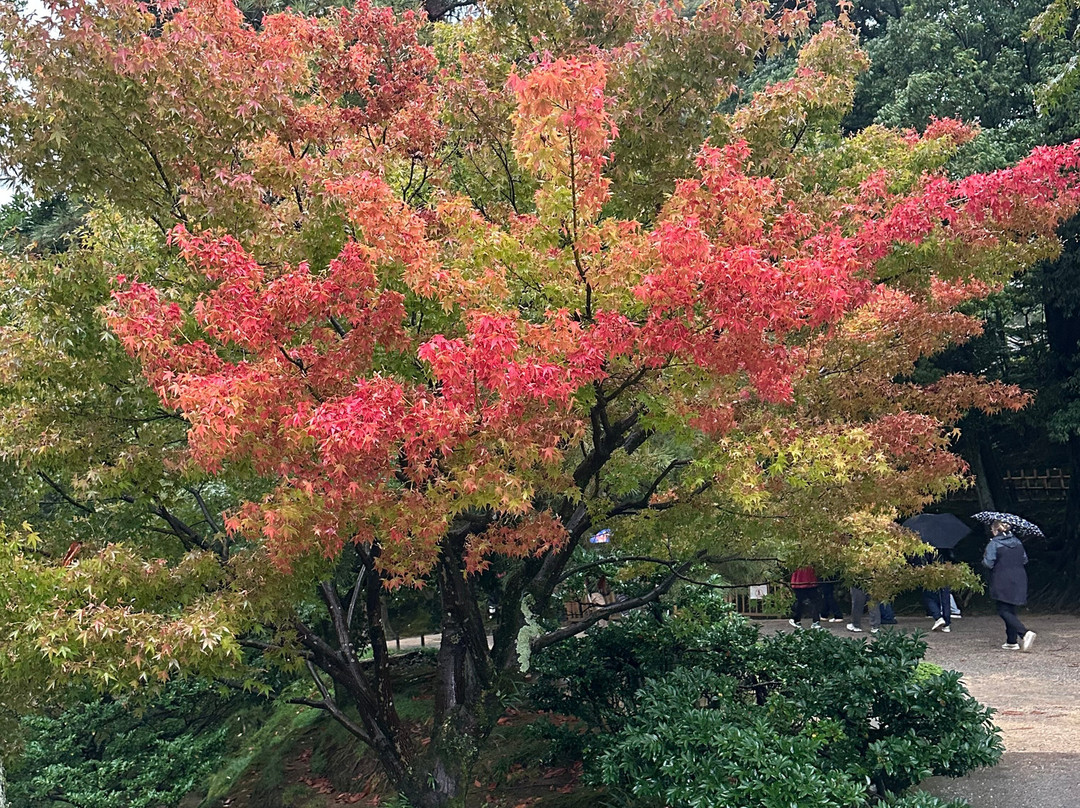 Mistral Tour-阿维尼翁必去景点