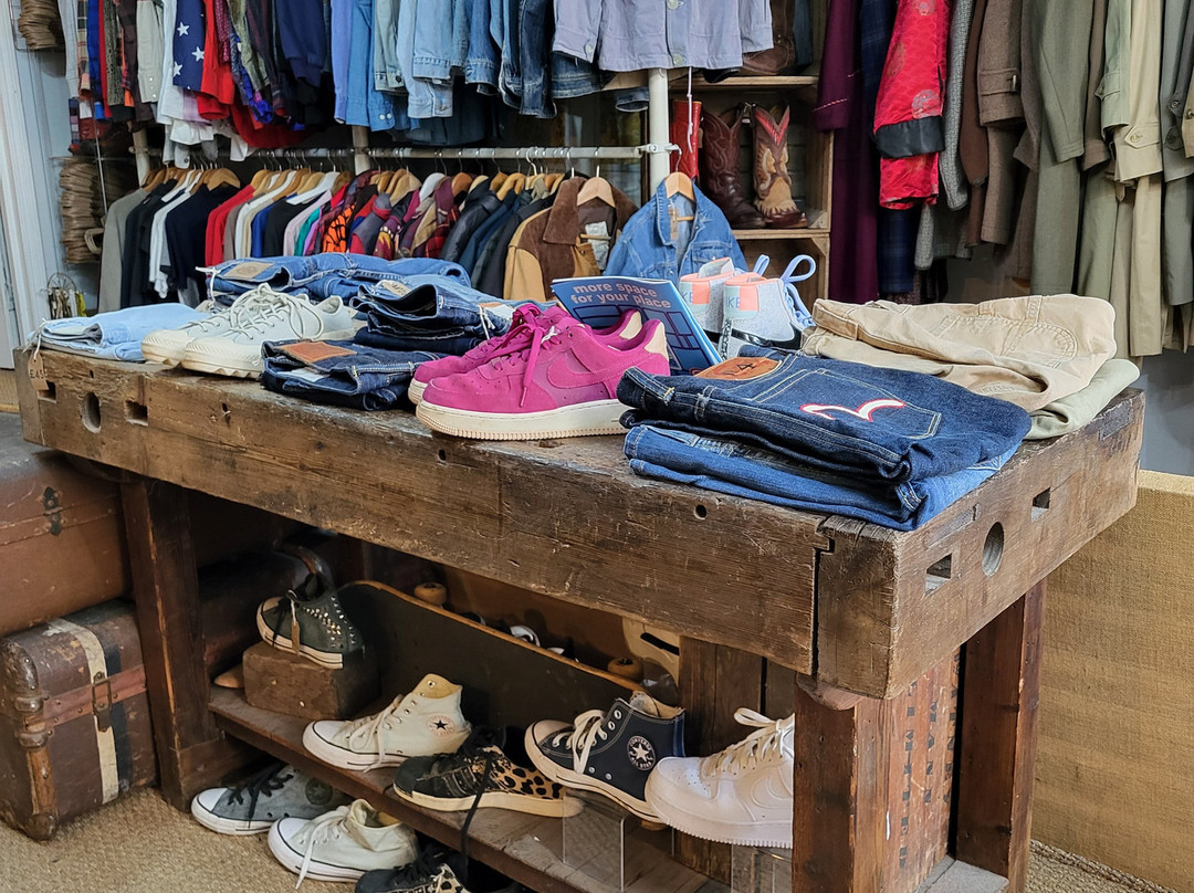 The Dandy Lion-弗罗姆必去景点