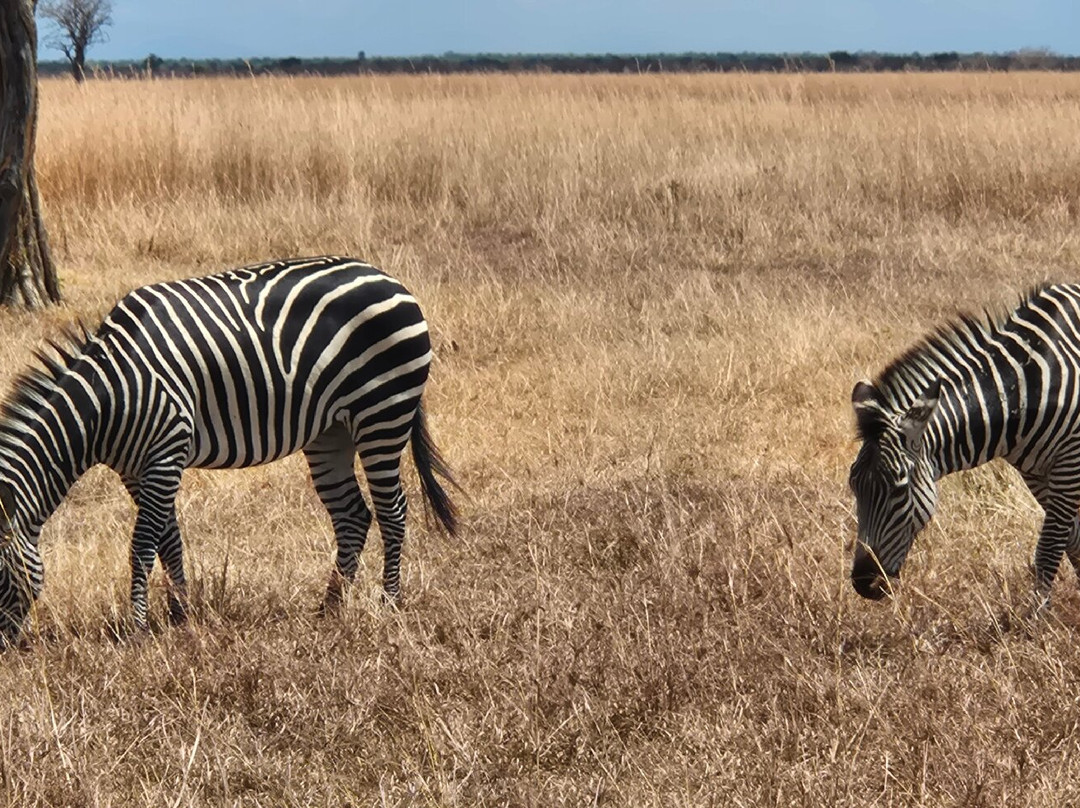 NICE ADVENTURE SAFARI-Dar es Salaam必去景点