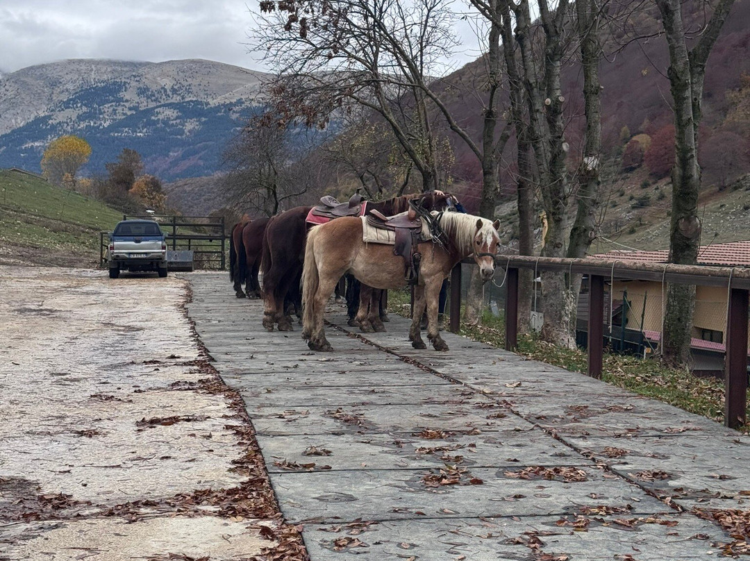 Il Ranch - Maneggio-Scanno必去景点