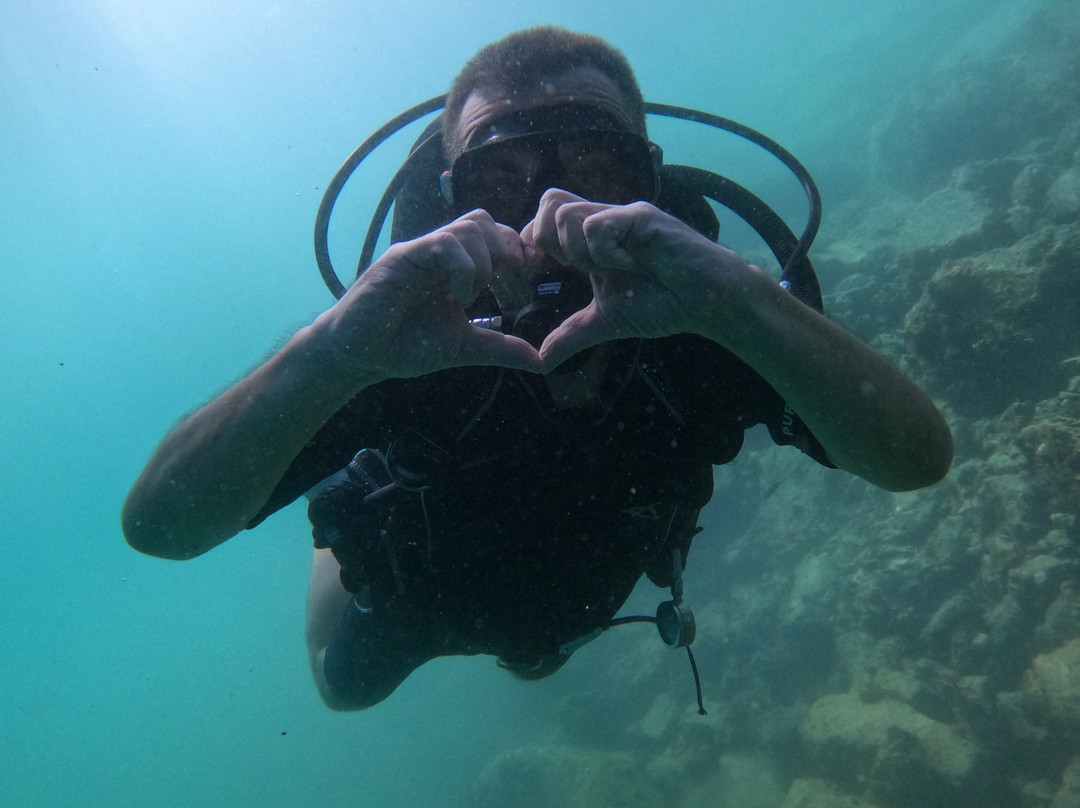 Reef Oasis Diving Center | Fujairah-Al Aqah必去景点