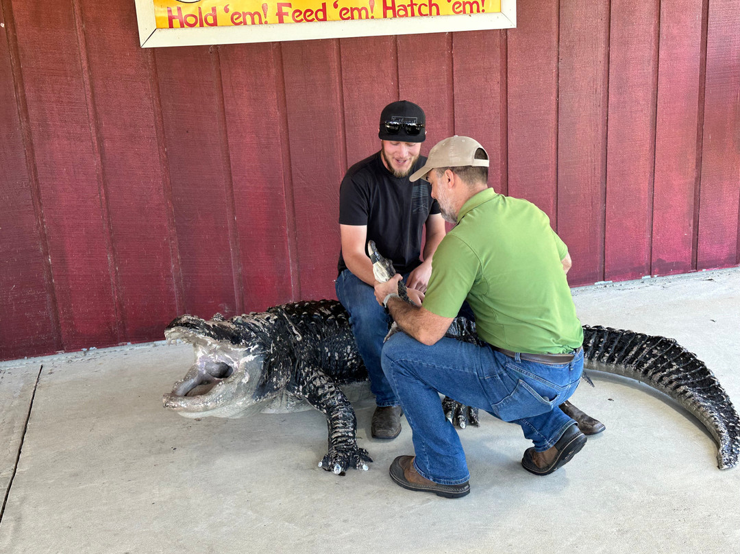 Insta-Gator Ranch & Hatchery-卡温顿必去景点