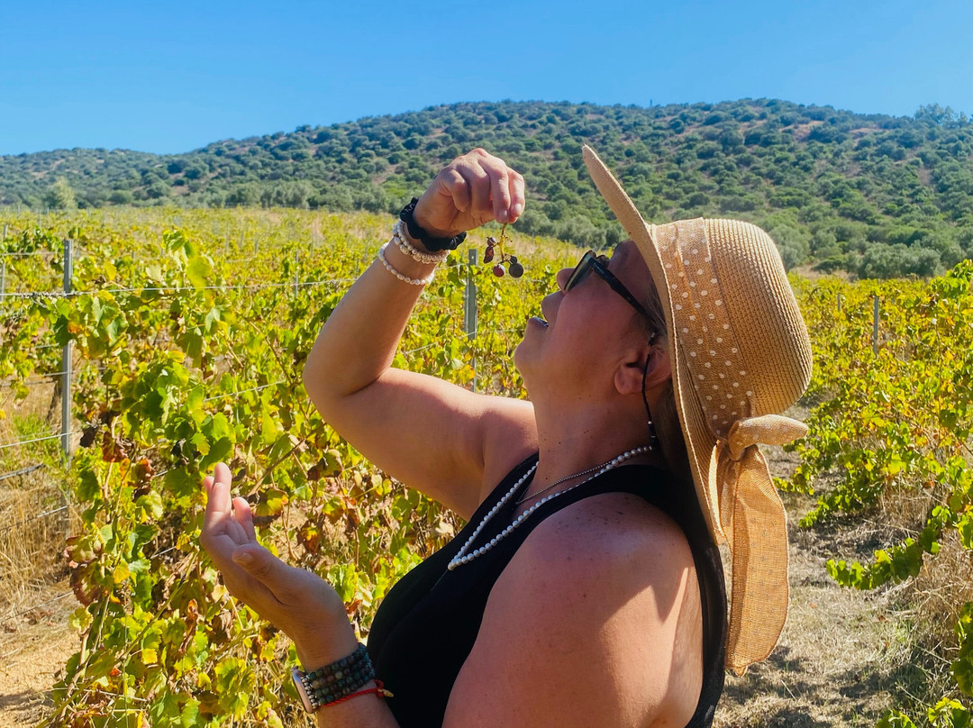 In Our Garden-夸尔图－圣埃莱娜必去景点