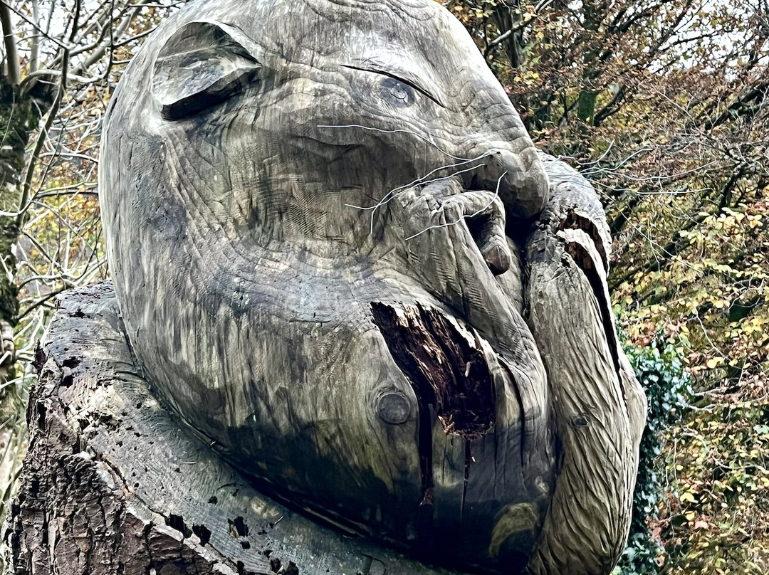 Tan Y Coed-Corris必去景点