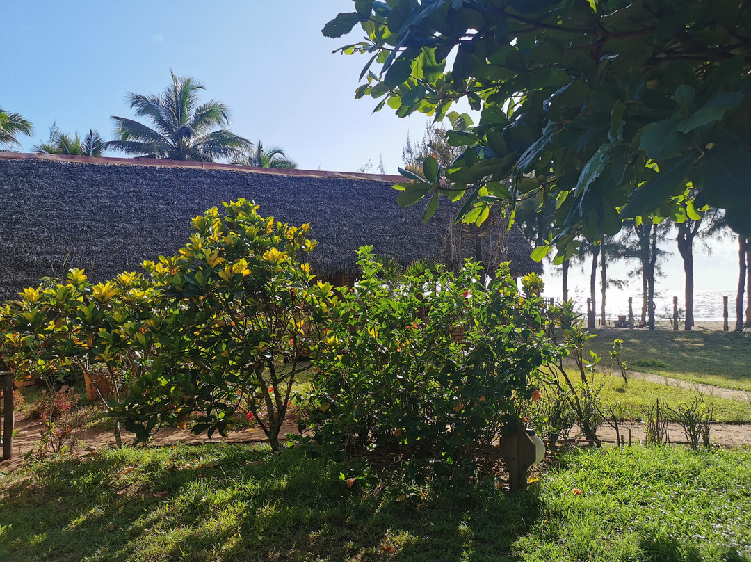 Hotel Antemoro主图