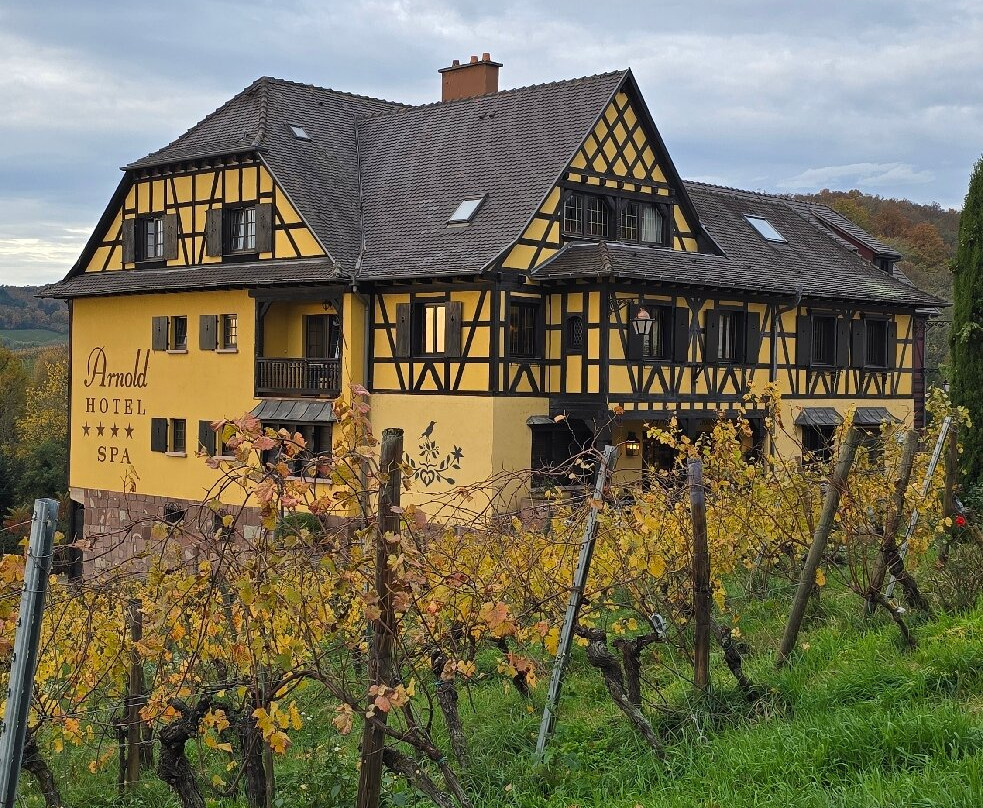 阿诺德酒店主图