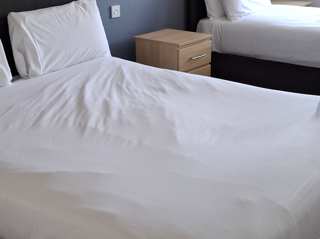 伦勃朗酒店主图