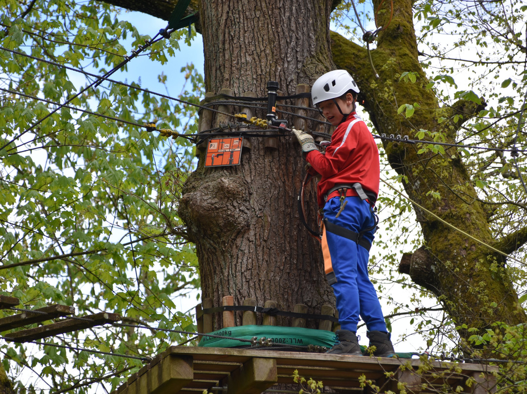 ROPETECH Ropes Course-伯尔尼必去景点