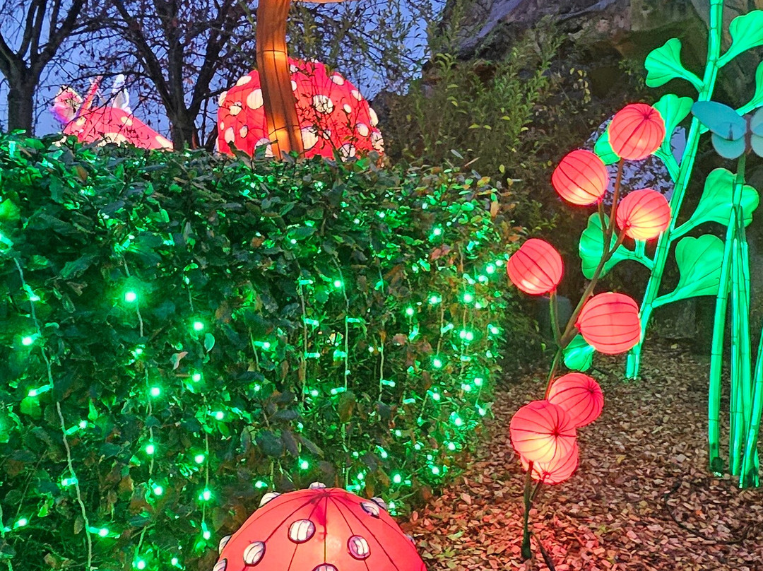 Parc Asterix-普拉伊必去景点