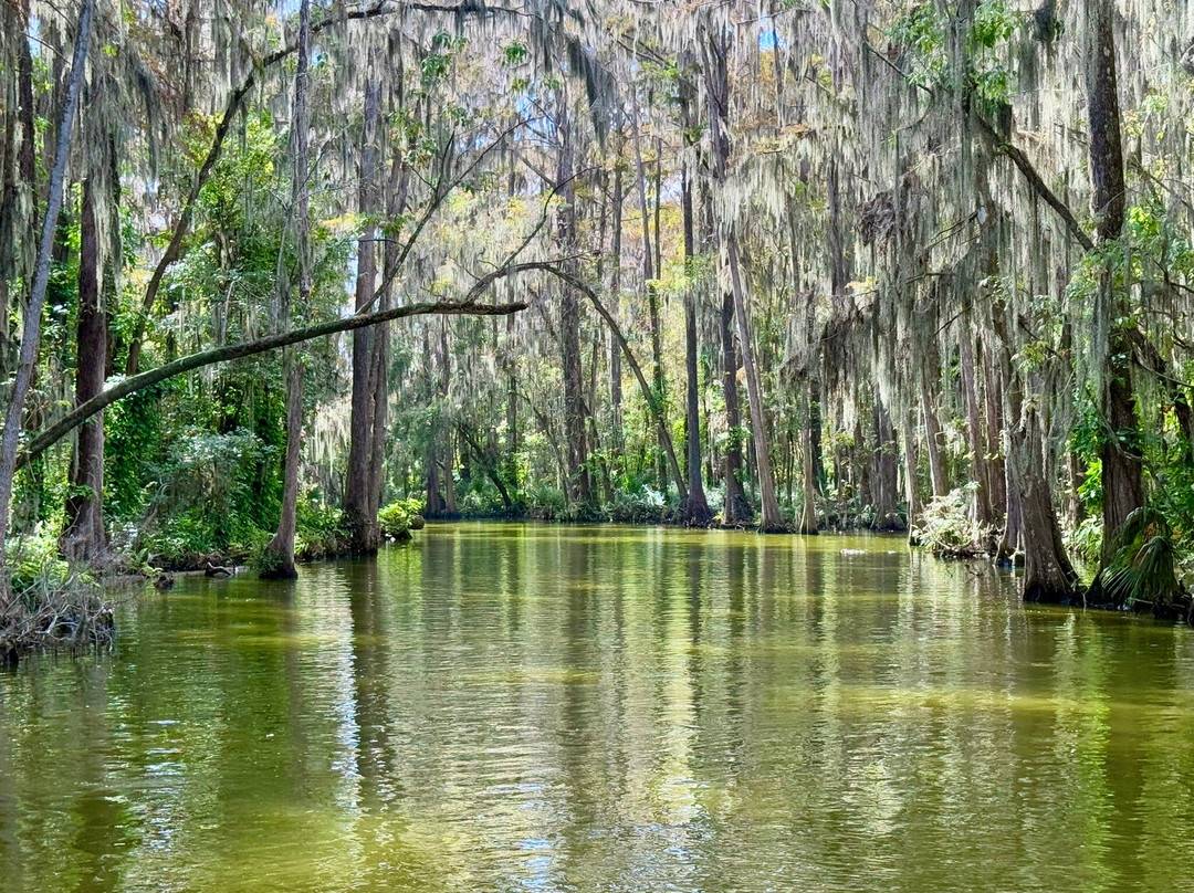 Mount Dora Boating Center & Marina-Mount Dora必去景点