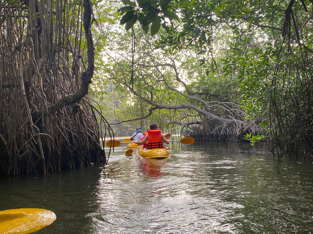 Hikkaduwa Lagoon Safari-Dodanduwa必去景点